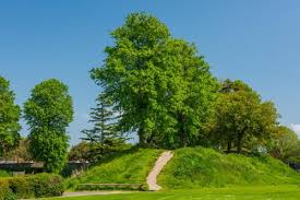 Image result for Chichester Priory Park Cc