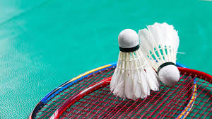 Image result for Shuttlecocks Badminton Club