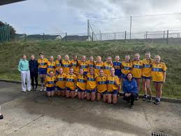 Image result for Erin`s Own Gaelic Athletic & Social Club