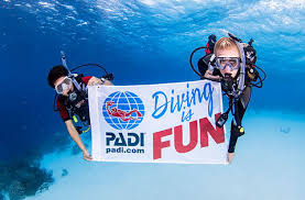 Image result for Dive Solutions, London