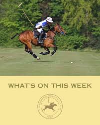 Image result for Cirencester Park Polo Club
