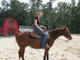 Image result for South Weylands Equestrian