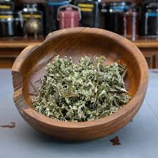 Attēlu rezultāti vaicājumam “Artemisia vulgaris bud”