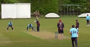 Image result for Drumpellier Cricket Club