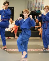 Image result for Skillz Martial Arts