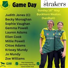 Image result for Calne Cricket Club