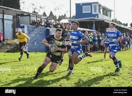 Image result for Mayfield Rugby League Football Club