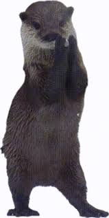 Image result for Otters Old Time Dance Club