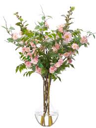 Image result for Alcea rosea `Appleblossom`