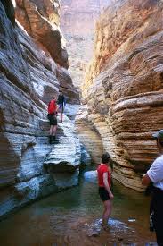 Image result for Bristol Canoe Club