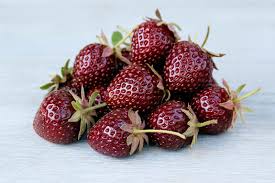 Attēlu rezultāti vaicājumam “Fragaria x ananassa fruit”