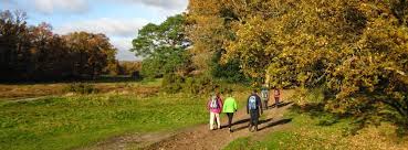 Image result for Mid Surrey Ramblers