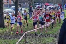Image result for Bexhill Runners Ltd
