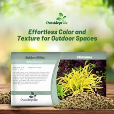 Attēlu rezultāti vaicājumam “Milium effusum”