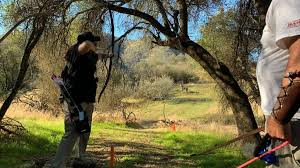 Image result for Derwynd Field Archery Club