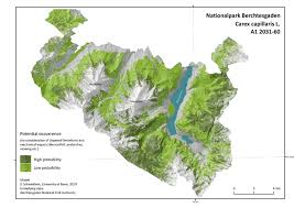 Attēlu rezultāti vaicājumam “Carex capillaris”