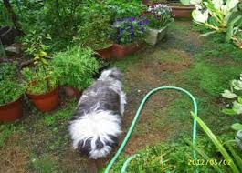 Image result for 201205.html#201205031