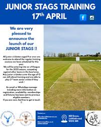Image result for Abbots Bromley Cricket Club