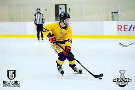 Image result for Urban Knights Inline Roller Hockey