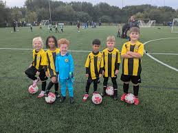 Image result for Brendon Bees Junior Football Club