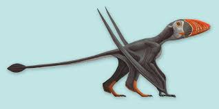 Attēlu rezultāti vaicājumam “Didymium proximum macro”