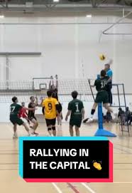 Image result for Malory Eagles volleyball club