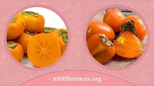 Image result for sharon fruit