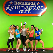 Image result for Aerodyne Gymnastics Club