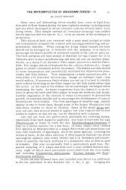 Attēlu rezultāti vaicājumam “Licea chelonoides spores”