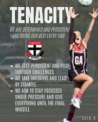 Image result for St Austell Netball now Saints