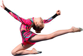 Image result for Stainsby School Of Gymnastics