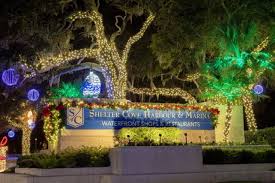 Image result for Harbour Lights Snorkelling Club (HLSC)