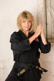 Image result for Masters of Martial Arts