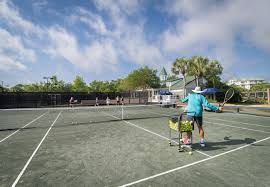 Image result for Sandford Tennis Club