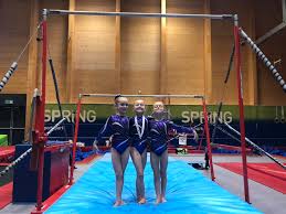 Image result for Kestrel Gymnastic Group