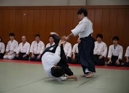 Image result for Moslin & Dewandre Aiki Dojo