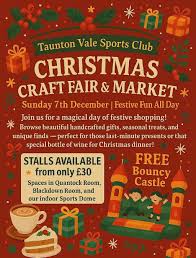 Image result for Taunton Vale Sports Club