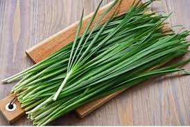 Image result for Allium schoenoprasum