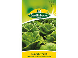 Image result for Römischer Salat