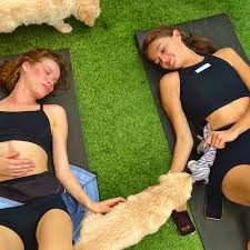 Image result for Relaxing Yoga Club