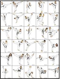 Image result for Tkd Self Defense