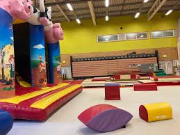 Image result for Europa Gymnastics Club, Bexley