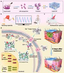 Image result for Trojan Abc
