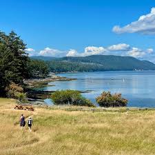 Image result for Birkenhead Victoria Cycling Club