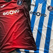 Image result for Cowes Sports Football Club