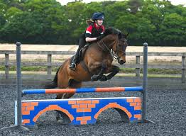 Image result for North Lammermuir Riding Club