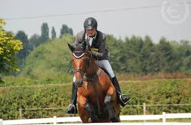 Image result for Jp-Sheffield Eventing