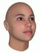 FaceGen Modeller 3.4.1剛