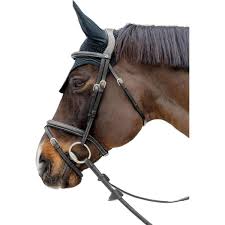 Image result for scheuklappen