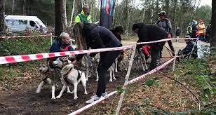Image result for Team Ice Fire British Sled Dog Racing Team